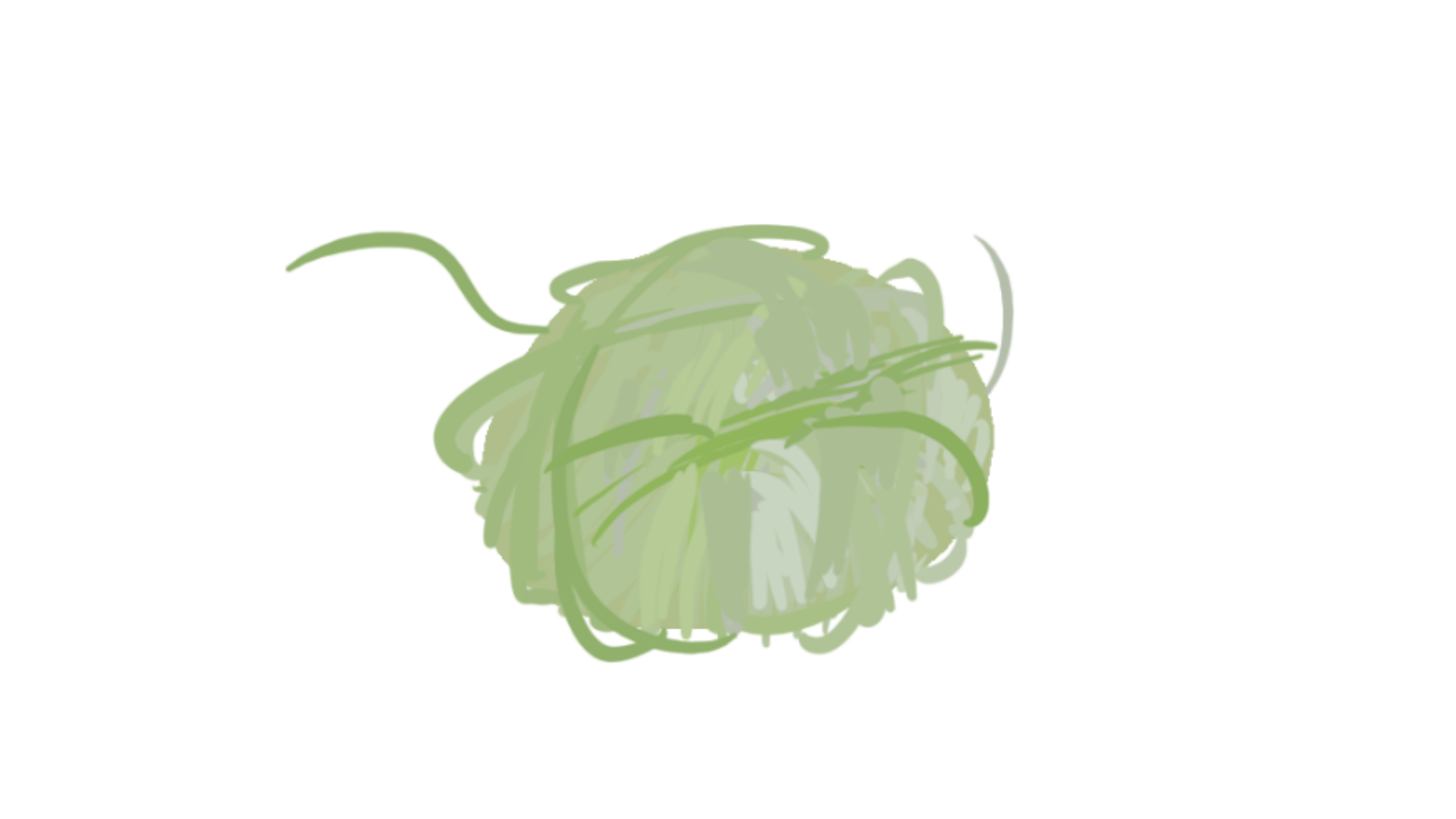 网感